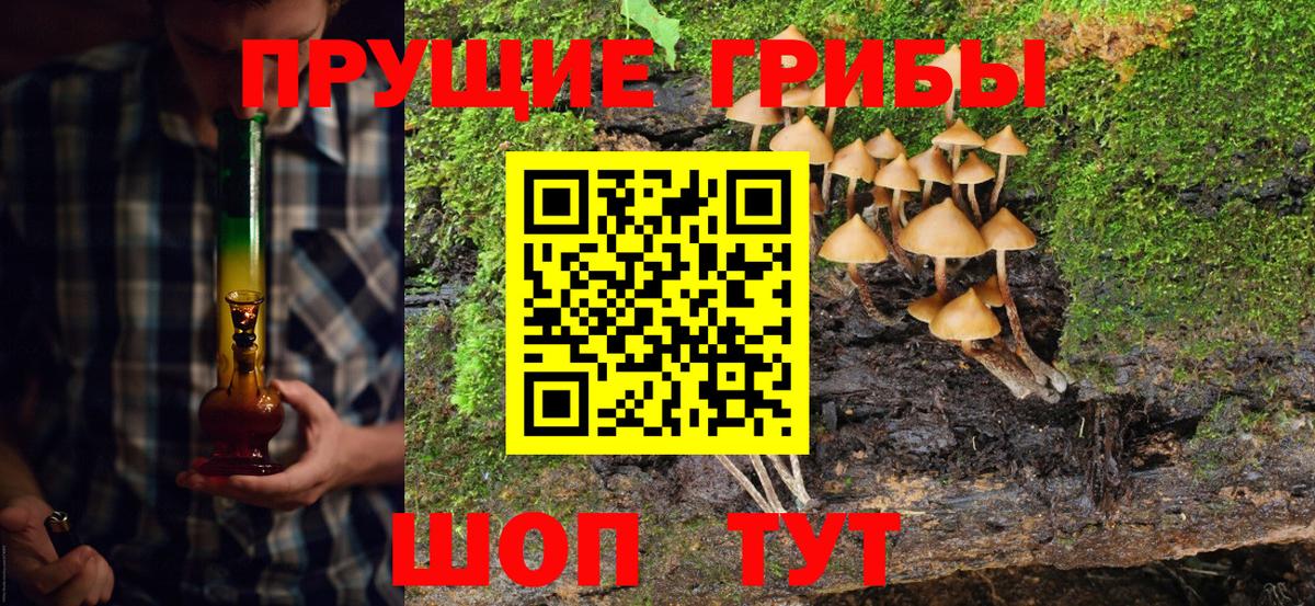 Галлюциногенные грибы MAGIC MUSHROOMS Усолье-Сибирское